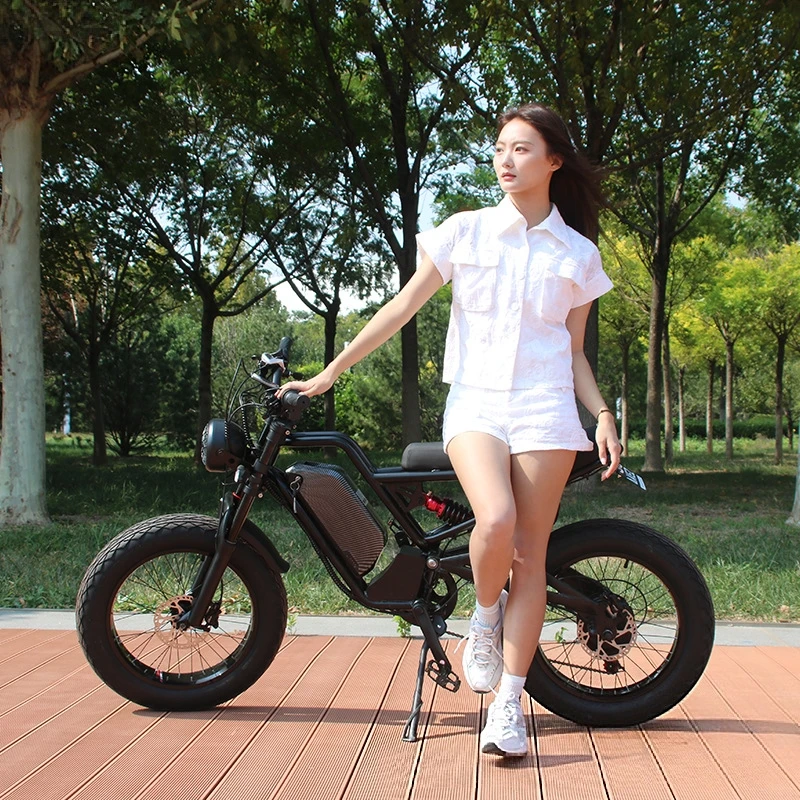 Электровелосипед SXLL SXLL с л – обзор и цена 48V 1500W Rear Hub Motor With Battery